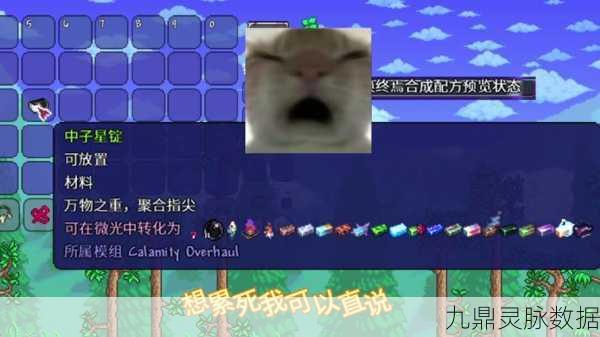 泰拉瑞亚fargo松鼠NPC,解锁全新购物体验