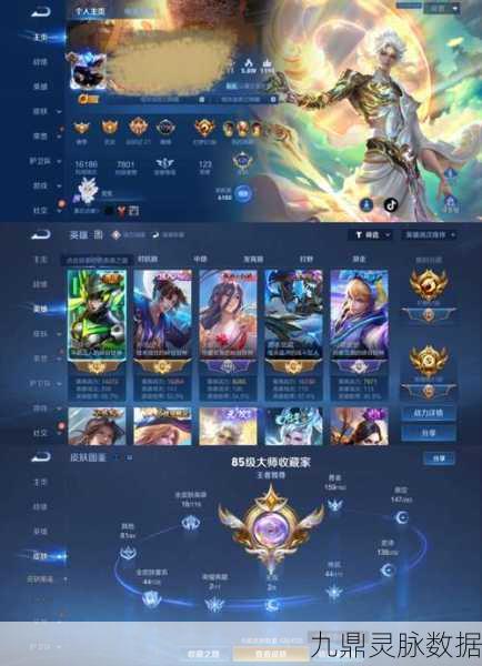 王者荣耀V10账号揭秘,QQ号与密码大全探秘
