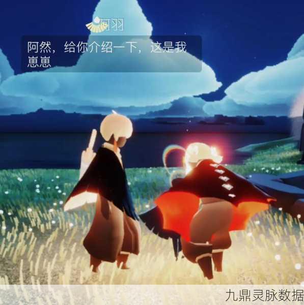 Sky光遇,在虚拟世界中编织与NPC的不解之缘