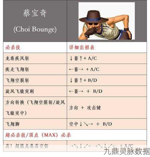 拳皇命运手游,攀登至尊拳皇,秘籍与实战全攻略