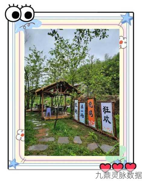 张同学的小农院,打造你的梦幻田园,享受悠闲经营之旅