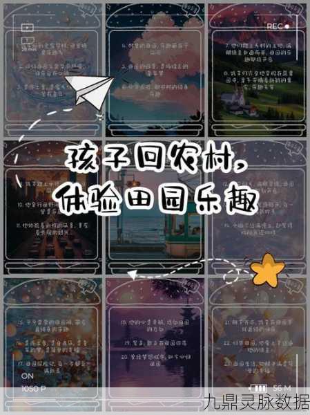 张同学的小农院,打造你的梦幻田园,享受悠闲经营之旅