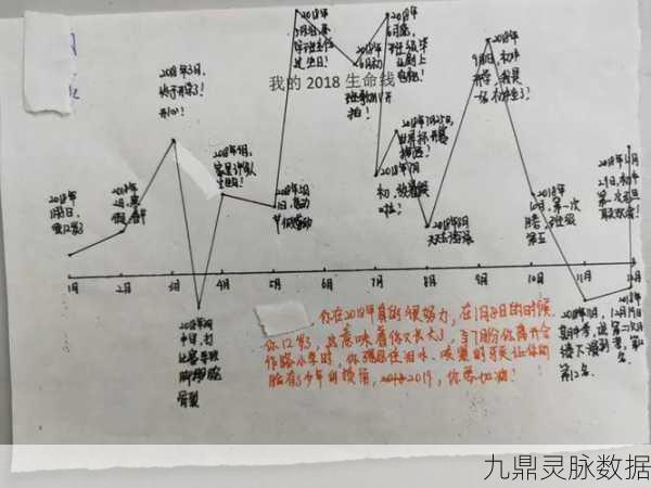 生命线现实生活模拟器,探索趣味休闲新境界