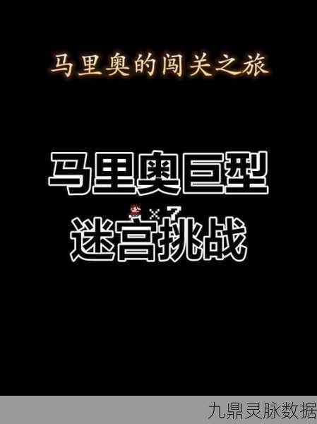 碰撞与冒险,探索那些令人欲罢不能的闯关之旅