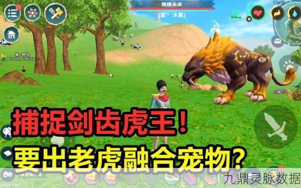 创造与魔法60级精英宠物捕捉全攻略