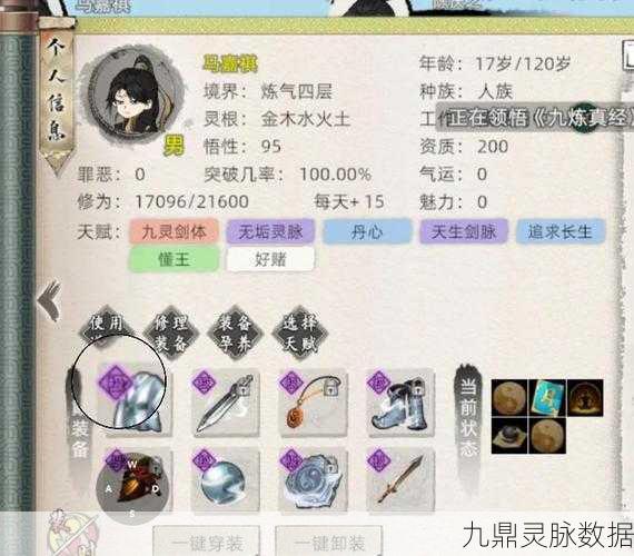 修仙家族模拟器2深度解析，单灵根天道筑基全攻略，踏上飞升仙界之旅