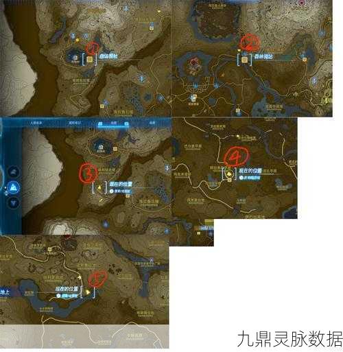 塞尔达传说王国之泪奥尔丁鸟塔解锁秘籍大公开