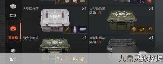 暗区突围,仓库扩展箱全攻略与高效存储秘籍