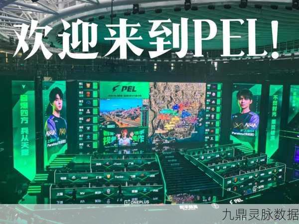 PEL和平精英，探秘职业战队背后的荣耀征程