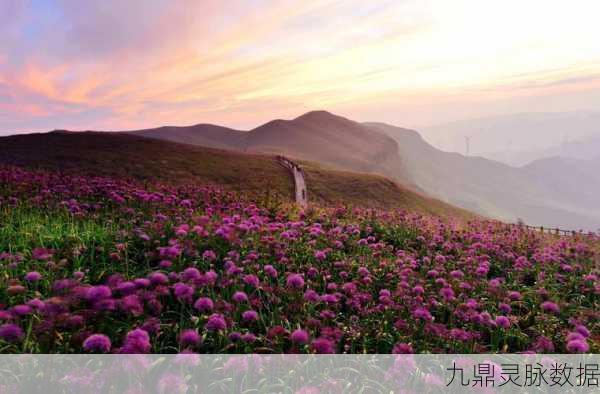 云游仙境奇遇记，解锁妄想山海云端秘境