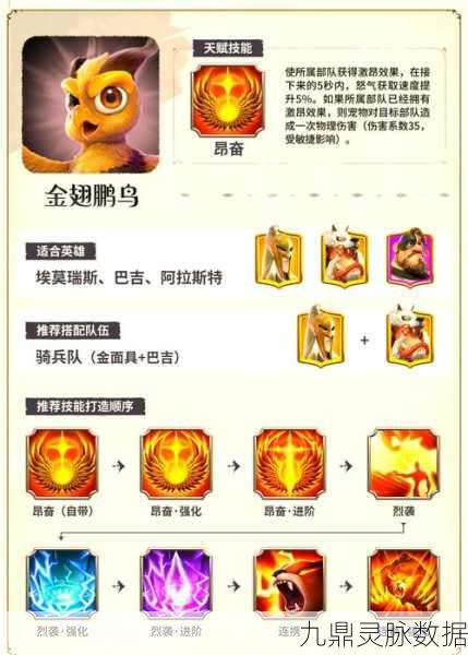 万龙觉醒,顶尖队伍搭配策略与实战深度剖析