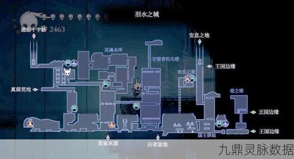 空洞骑士深度攻略指南,解锁全成就的秘籍