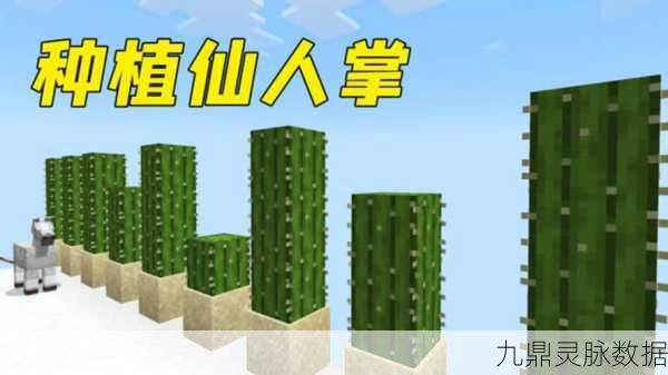 我的世界仙人掌,多功能生存神器全解析