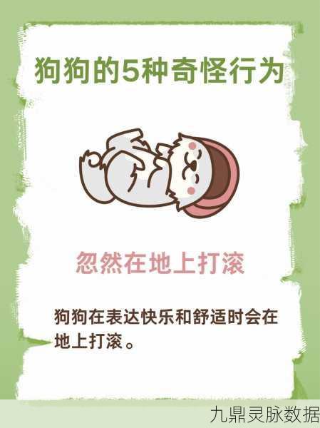 萌宠拆家大冒险，魔性玩法让你欲罢不能