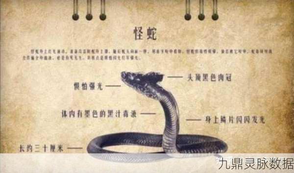 战双帕弥什托罗之书3，深度探索与怪物征服指南