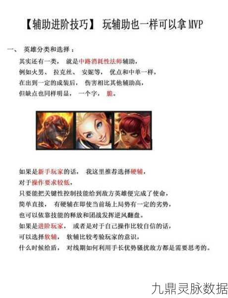 LoL辅助角色争议,为何被误解为混子?