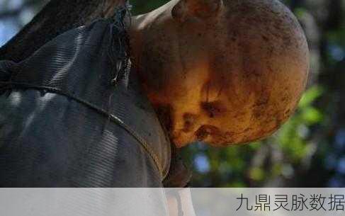GTA5奇遇记，揭秘那些令人毛骨悚然的神秘怪物