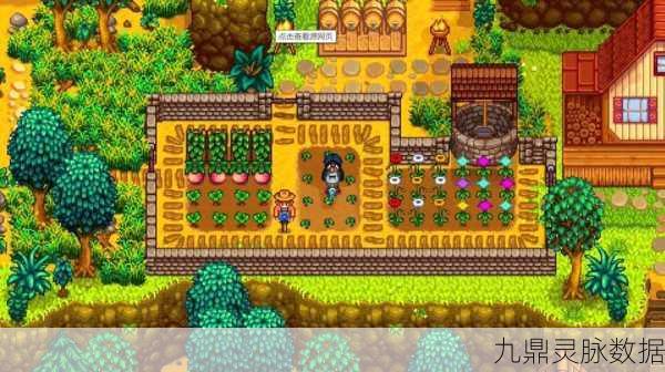 星露谷物语Switch版,解锁代码输入的奇妙之旅
