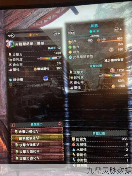 怪物猎人冥赤龙大剑终极攻略，解锁顶级武器选择秘籍！