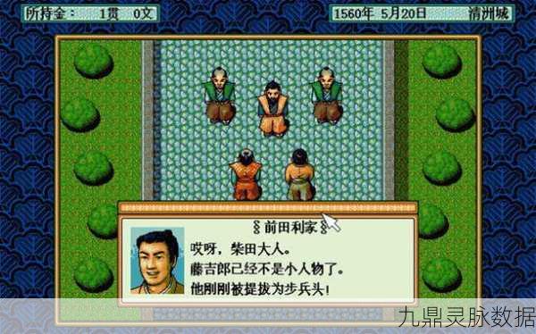 太阁立志传2，策略与荣耀的复古之旅全攻略