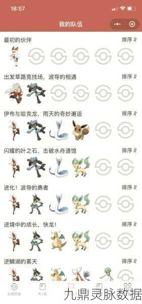 口袋妖怪漆黑魅影5.0EX无尽混沌,全面攻略与深度探索