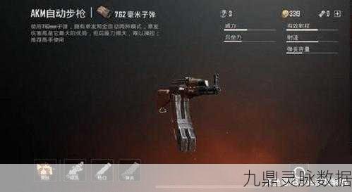 和平精英深度揭秘,双弹夹BUG卡法实战技巧全解析
