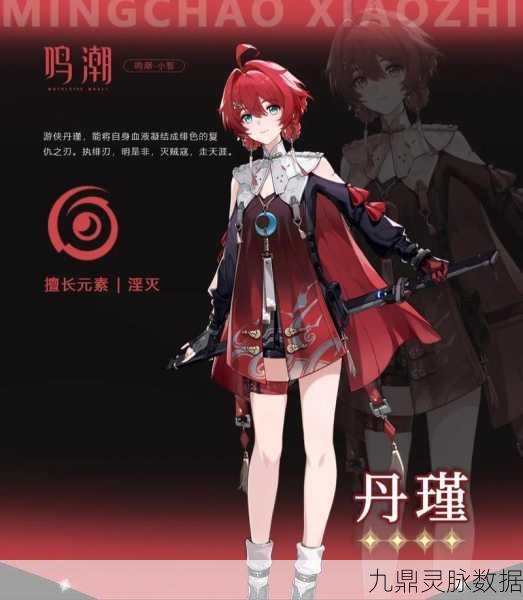 鸣潮角色深度探索，丹瑾全方位养成秘籍