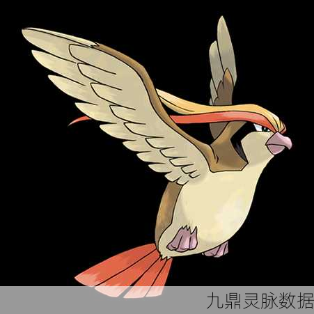口袋妖怪决斗神秘精灵揭秘,大比鸟传奇篇章——新纪元之翼的翱翔探索