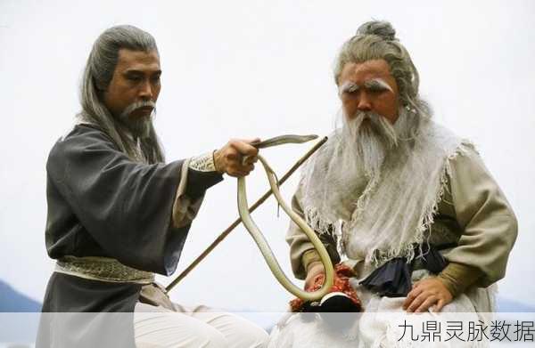 射雕江湖奇遇记,珍稀道具与金盏罗盘全解析