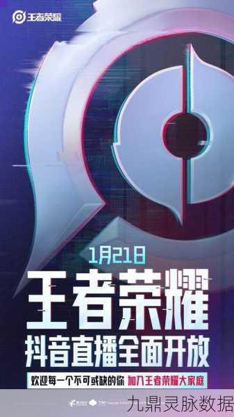 抖音王者荣耀主播风云榜,探寻你的游戏偶像