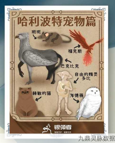 哈利波特魔法觉醒，揭秘马达戈猫图鉴的奥秘