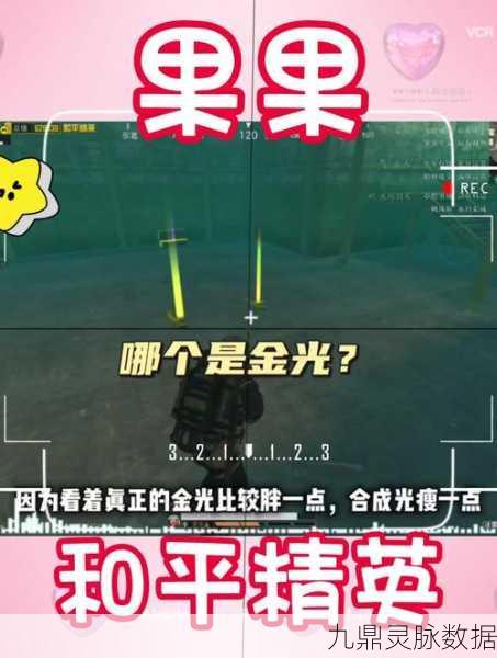 和平精英，钓鱼高手的终极修炼手册，策略与技巧的深度交融