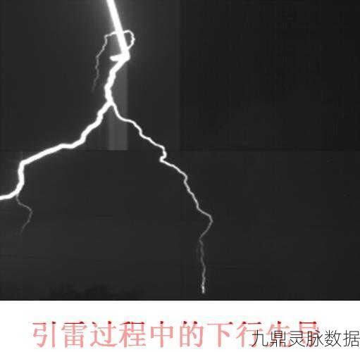 重生细胞引雷针图纸获取全攻略，解锁你的雷电之力