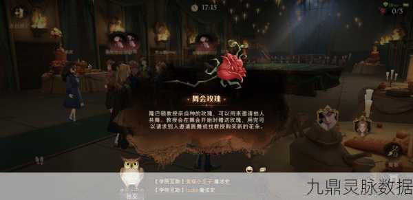 哈利波特舞会高分秘籍，舞动魔法，闪耀全场