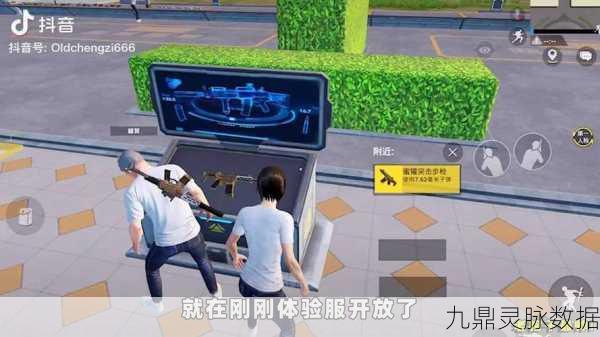 和平精英,维克多与蜜獾,谁才是战场霸主?