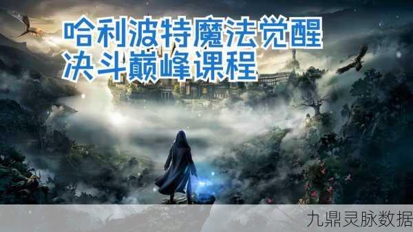 哈利波特,魔法觉醒组队课堂任务深度剖析,携手伙伴共创辉煌战绩!