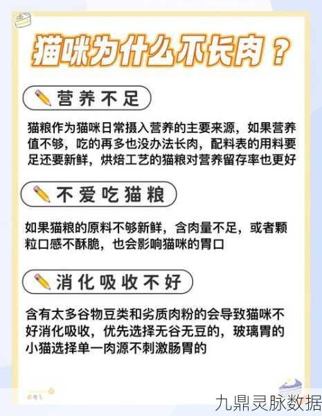 小森生活，解锁猫粮获取秘籍，让喵星人乐享美食盛宴