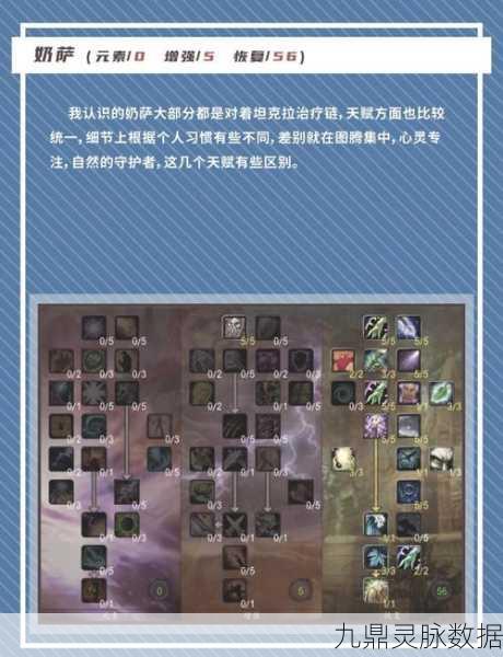 WLK增强萨满装备属性全攻略，优先级与搭配深度剖析