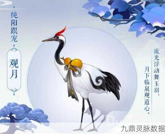 剑网3指尖江湖，揭秘纯阳宠物与获取攻略