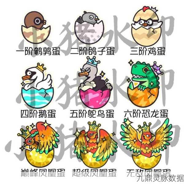 蛋仔派对段位晋升秘籍,新手进阶精英之路