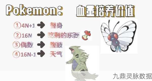 口袋妖怪,掌握升级与努力值的黄金法则