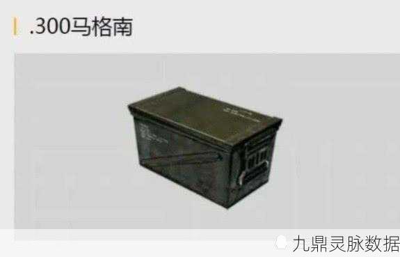 和平精英子弹奥秘全解析，助你晋升枪神行列！