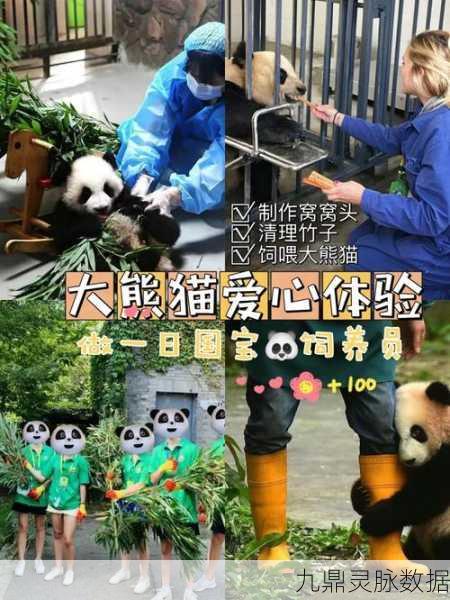 灵魂潮汐新篇章，大熊猫饲养攻略大揭秘