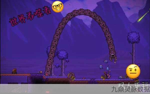 泰拉瑞亚灾厄，揭秘正确ID背后的冒险世界