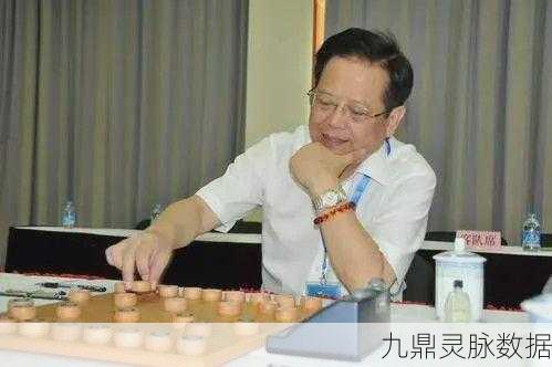 象棋大师对决燃爆指尖,胡荣华演绎智慧与勇气的巅峰交响