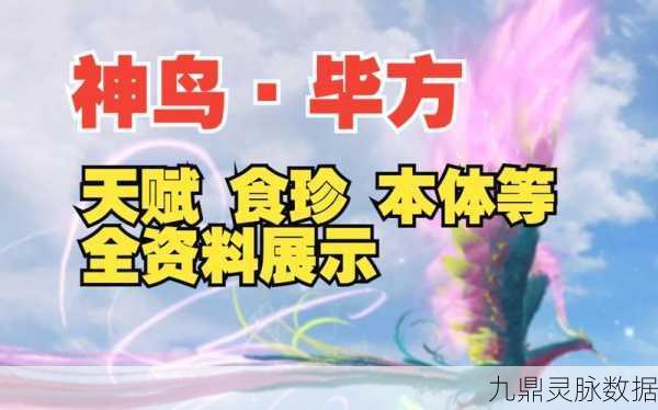妄想山海元素进化宠毕方,神秘之鸟的深度探索与养成攻略