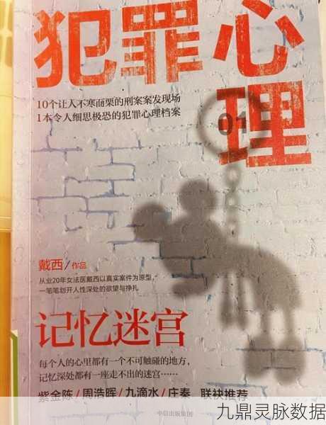 灵魂深处的文字迷宫，灵魂收购2中文版深度探索