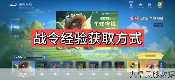 王者荣耀荣耀战令获取全攻略