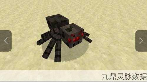 我的世界百科全书,揭秘洞穴蜘蛛的奥秘