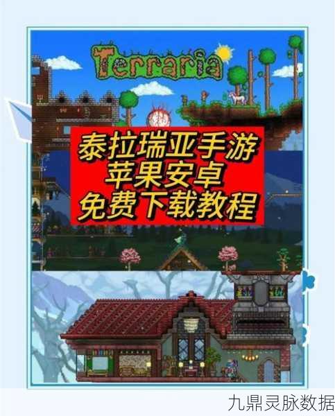 泰拉瑞亚,解锁向导的神秘魅力,探索无尽可能的世界